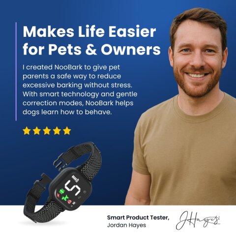 CartyDiscounts image