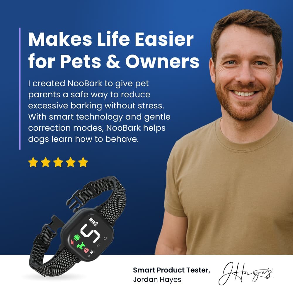 CartyDiscounts image