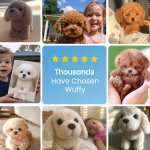 CartyDiscounts image