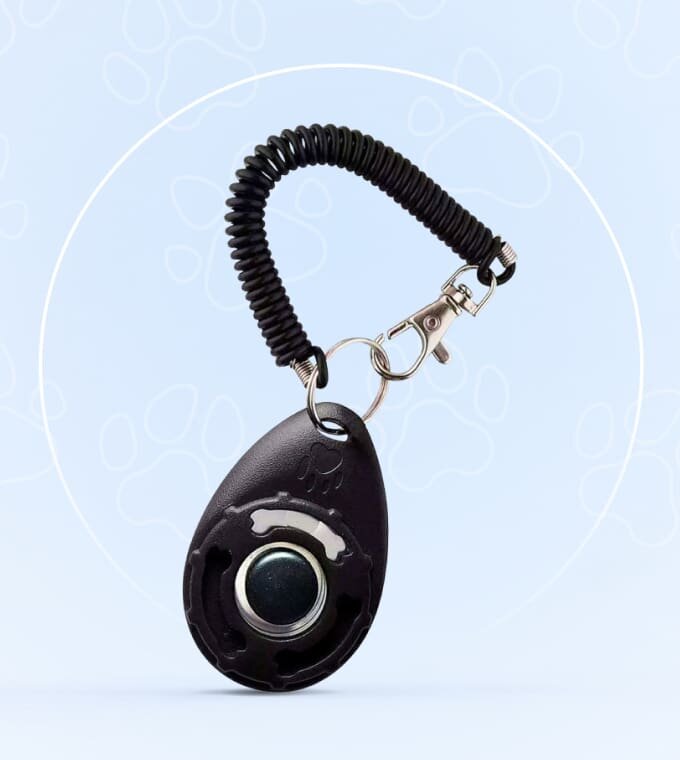 CartyDiscounts image